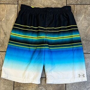 Under Armour Men's Black and Blue Striped Swim Shorts